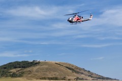 Cobra überm Spitzerberg