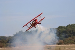 Pitts Special