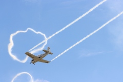 Trojan T28