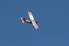 IMG_4110