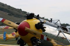 IMG_4250