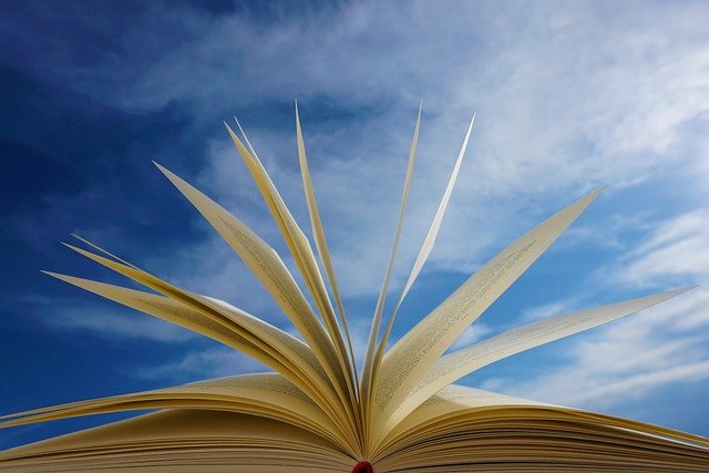 Symbolbild Flughandbuch